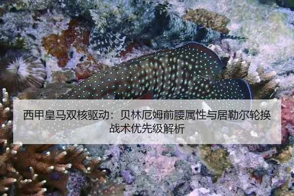 xi-jia-huang-ma-shuang-he-qu-dong-bei-lin-e-mu-qian-yao-shu-xing-yu-ju-lei-er-lun-huan-zhan-shu-you-xian-ji-jie-xi-3-806.jpg