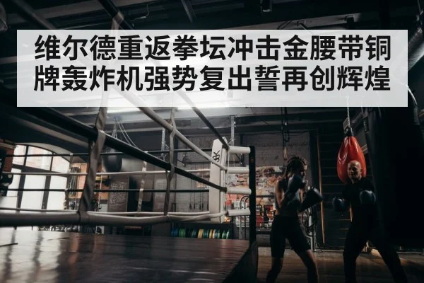 维尔德重返拳坛冲击金腰带铜牌轰炸机强势复出誓再创辉煌
